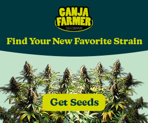 Ganja Farmer Seeds breeder. Seed bank info - Grow with Jane